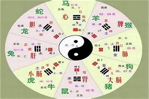 宗 五行|宗字五行属什么